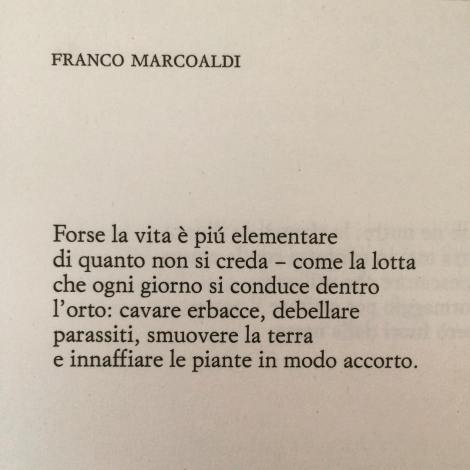 Giorgio Linguaglossa Giorgio Linguaglossa